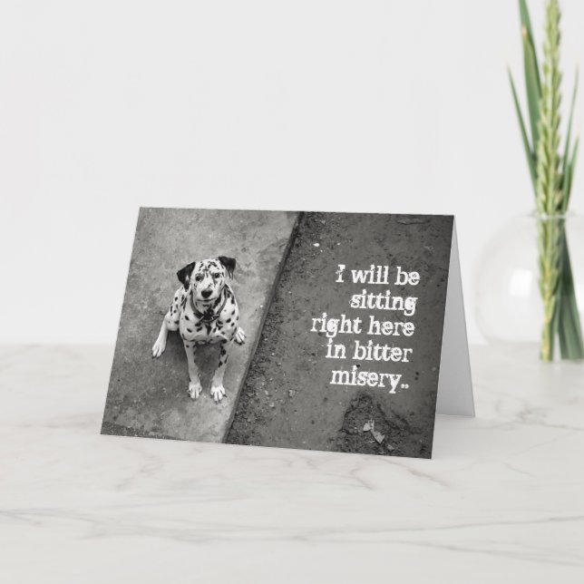 Cartão Bonito Dalmaciano... (Frente)