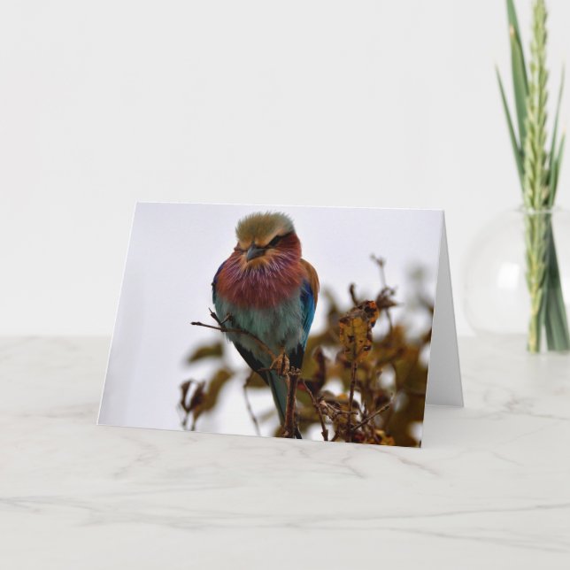 Cartão Bonito e orgulhoso (Frente)