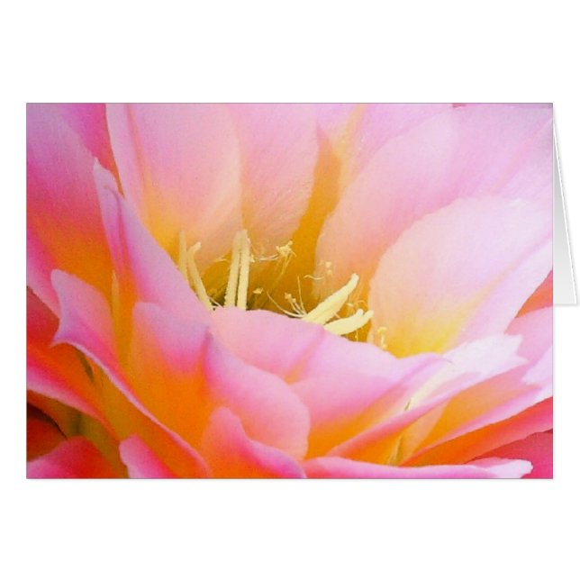 Cartão Bonito em floral rosa (Frente horizontal)