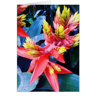 Cartão bonito exótico da flor do amarelo