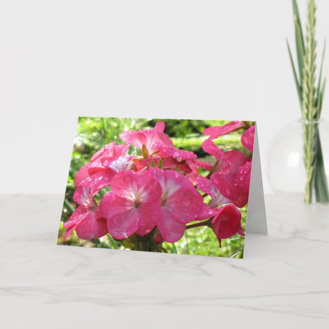 Cartão Bonito nas flores cor-de-rosa desejo de aniversári (Frente)