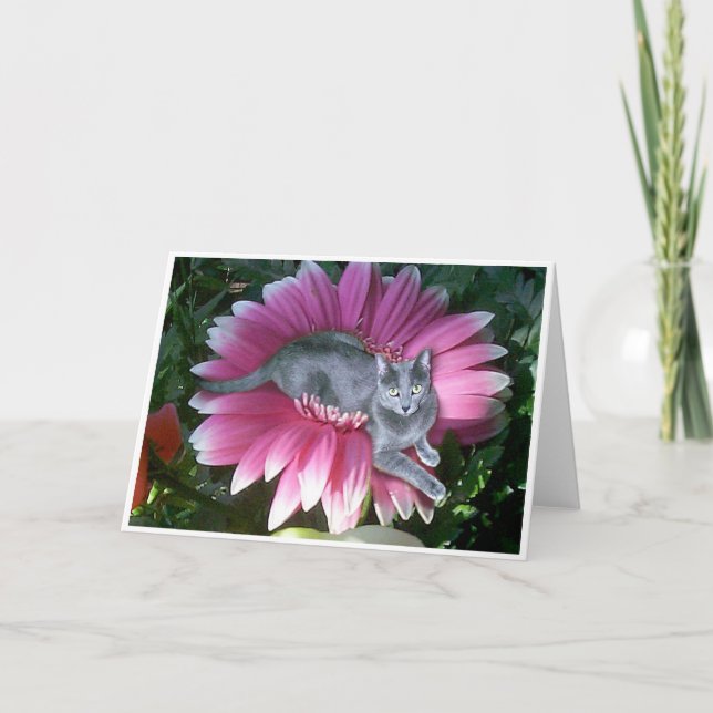 Cartão Bonito no rosa (Frente)