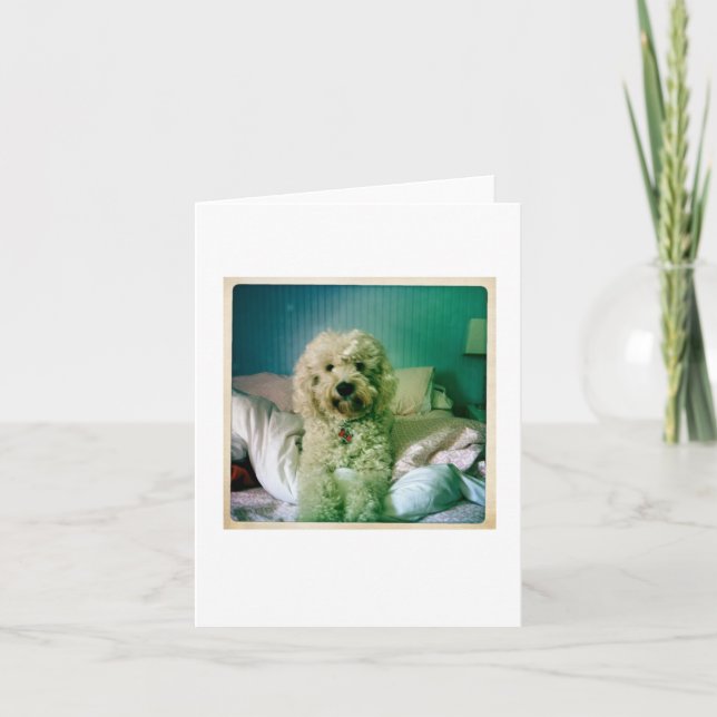Cartão Bonito Notecard Goldendoodle (Frente)