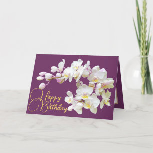 Cartão Bonito Orquídea Branca Roxo Aniversário Feliz