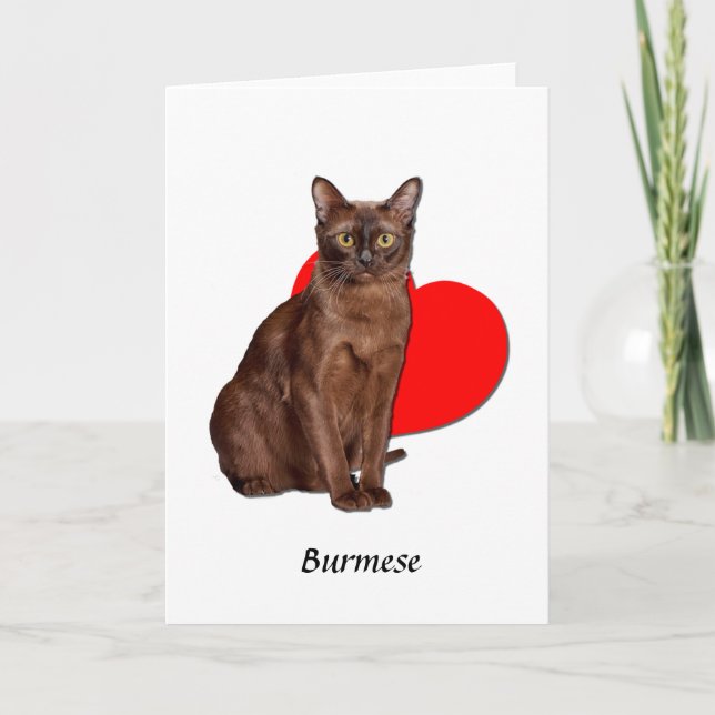 Cartão Bonito Ouro Burmese Cat Moggy Heart Love (Frente)