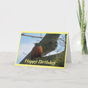 Cartão Bonito Robin em Foto em Árvore Aniversário