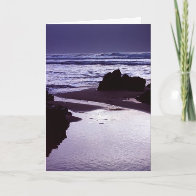 Cartão Boobys Bay (Frente)