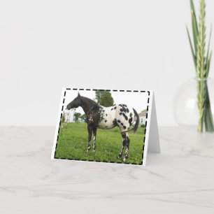 CARTÃO BOOGIE BEE JET NOTE CARDS