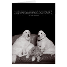 Cartão Bookends Gibraltar Poster