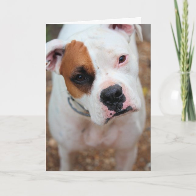 Cartão Boop (Frente)