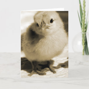 Cartão Boot's Chick