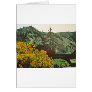 Cartão Boquete, pintura Panama#3