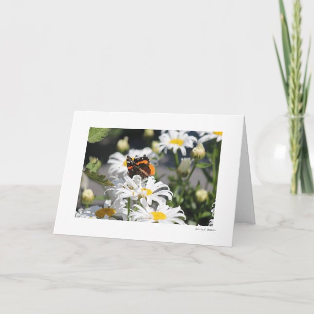 Cartão Borboleta (Frente)