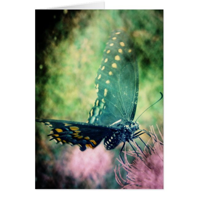 Cartão Borboleta (Frente)