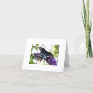 Cartão Borboleta