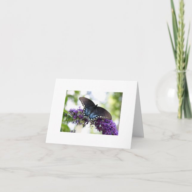 Cartão Borboleta (Frente)