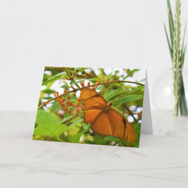 Cartão Borboleta (Frente)