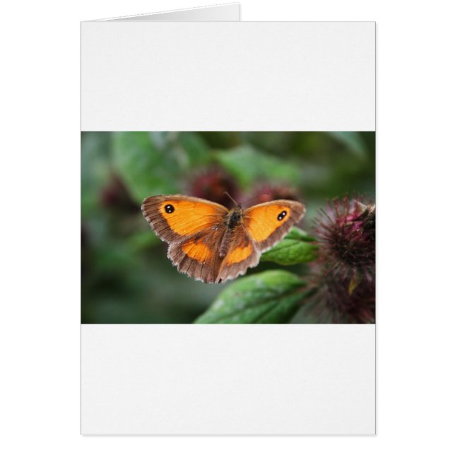 Cartão Borboleta (Frente)