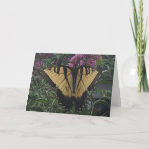 Cartão Borboleta Amarela e Preta com Foto Personalizada
