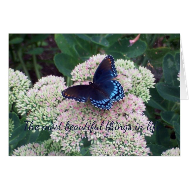 Cartão Borboleta Azul (Frente Horizontal)