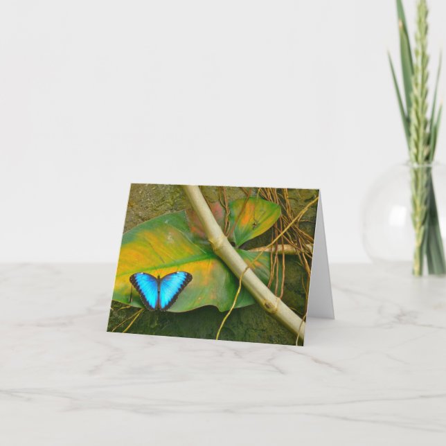 CARTÃO BORBOLETA AZUL NOTECARD DE MORPHO (Frente)