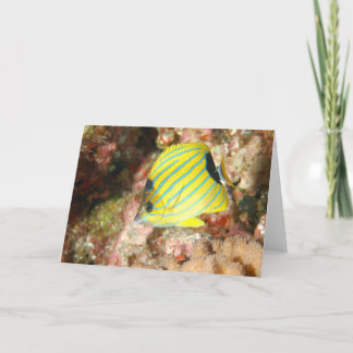 Cartão Borboleta-branca