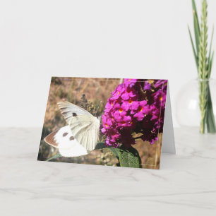 Cartão Borboleta. Cartão.