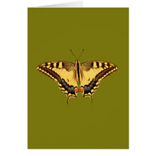 Cartão Borboleta Dançante