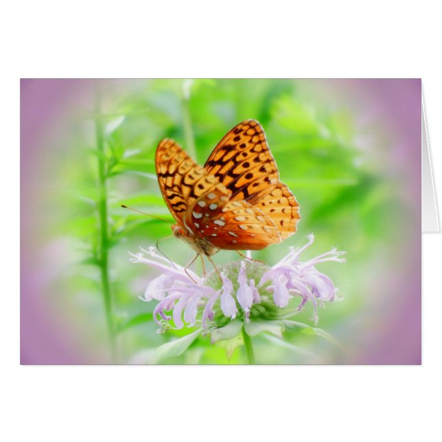 Cartão Borboleta de Bee Balm - Fritillary (Frente Horizontal)