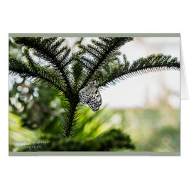 Cartão Borboleta de descanso