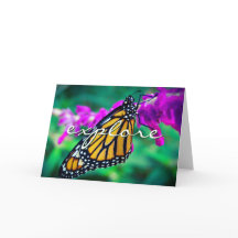 Borboleta de Monarca Laranja Explorar Script Moder