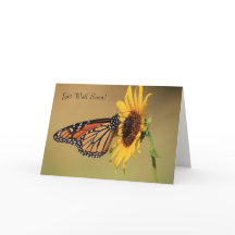 Borboleta de monarca no girassol amarelo