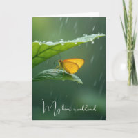 Borboleta de Simpatia sobre Folha Verde na Chuva