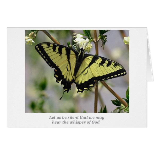 Cartão Borboleta de sussurro (Frente Horizontal)