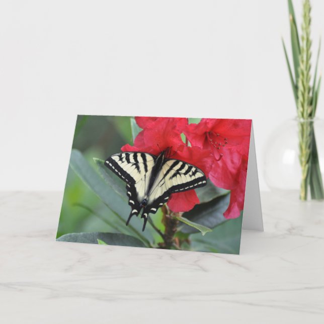 Cartão Borboleta de Swallowtail com Asas Abertas (Frente)
