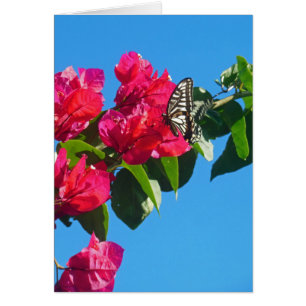 Cartão Borboleta de Swallowtail do asiático