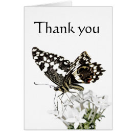 Cartão Borboleta-do-mato-grande