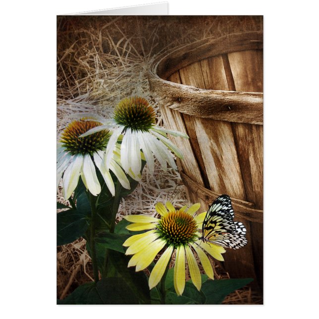 Cartão Borboleta do País (Frente)