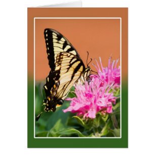 Cartão Borboleta do Swallowtail do Tigre Oriental
