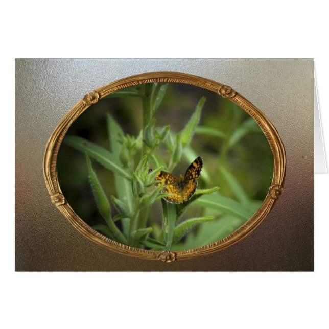 Cartão Borboleta do vintage (Frente Horizontal)