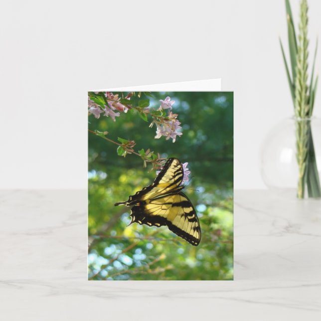 Cartão Borboleta e Céu (Frente)