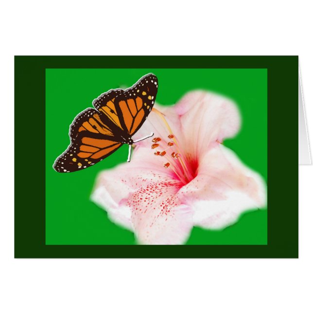 Cartão borboleta e flor (Frente Horizontal)