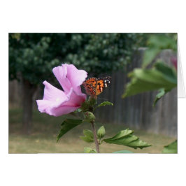 Cartão Borboleta e Rosa de Sharon