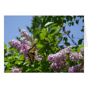 Cartão Borboleta em Lilac Bush