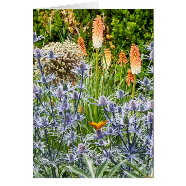 Cartão Borboleta Fritillly Num Jardim De Verão (Frente)