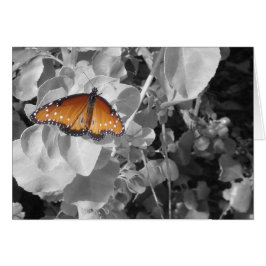 Cartão Borboleta Laranja Monarca Negra Folha Branca Deixa