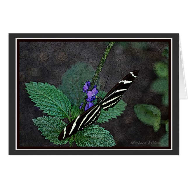 Cartão Borboleta longa da zebra da asa (Frente Horizontal)