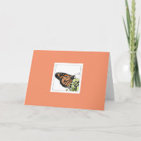 Borboleta Monarca (Colorizada)