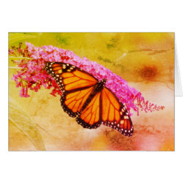 Cartão Borboleta Monarca em Buddleia
