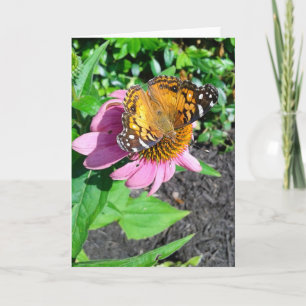 Cartão Borboleta Monarca em Flor de Echinacea